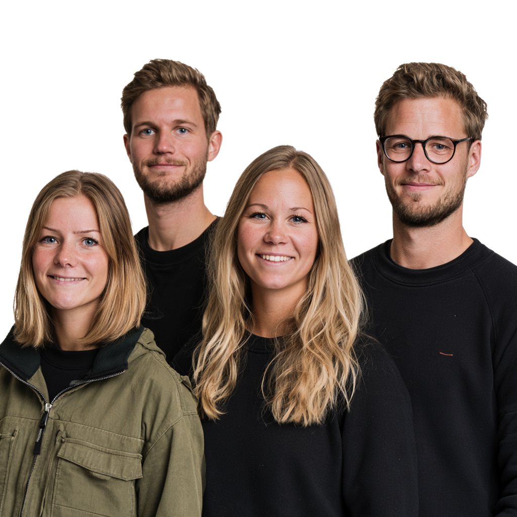 Salt Stream consultants